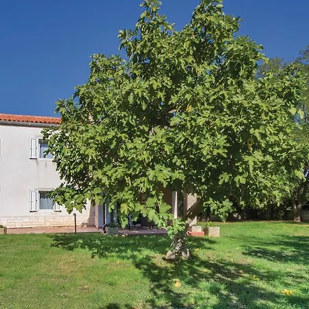 Rov 722 Apartment *